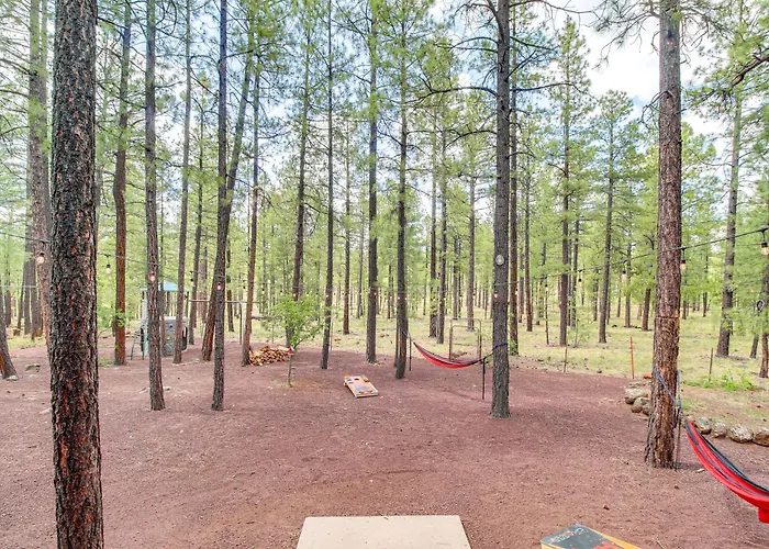 Large Backyard & Playset: Family In Pinetop!